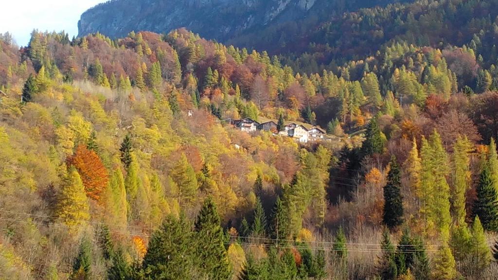 Casa Alpina Βίλα Cencenighe Εξωτερικό φωτογραφία
